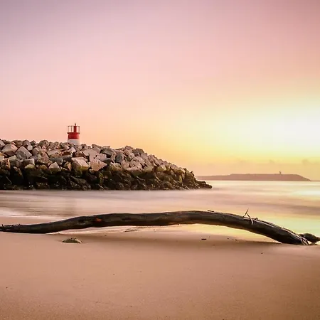 Terrace Bairro Novo By Rent4all Appartamento *