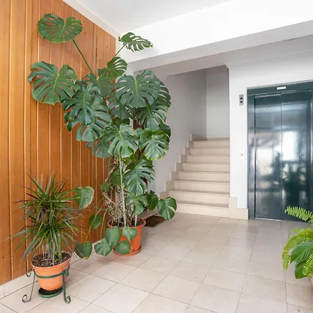 Terrace Bairro Novo By Rent4all Figueira da Foz